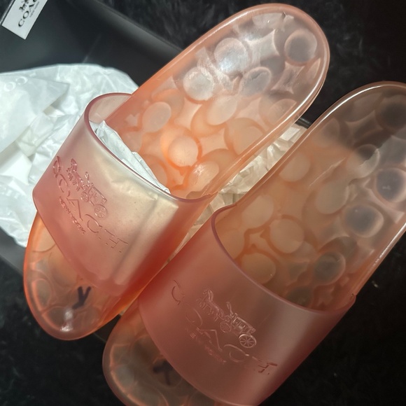 TANGERINE ULYSSA RUBBER SLIDES - Picture 1 of 4